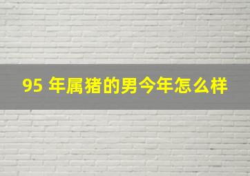 95 年属猪的男今年怎么样